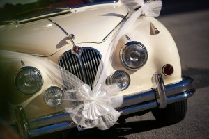 Wedding service Crippa NCC transfer Lake garda Area